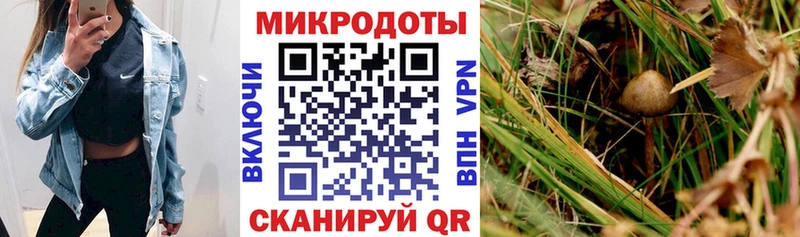 как найти закладки  Болотное  Галлюциногенные грибы мухоморы 